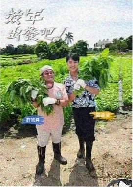 乘风破浪的姐姐5